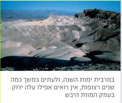 במרבית ימות השנה, ולעתים במשך כמה שנים רצופות, אין רואים אפילו עלה ירוק בעמק המוות היבש